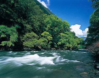 《上古卷轴4：湮没 复刻版》泄露 画质提升巨大