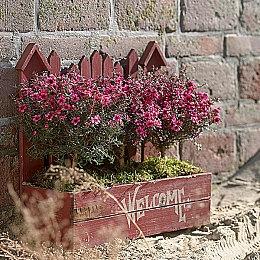 PS5 Pro官宣！11月7日发售、售价699.99美元